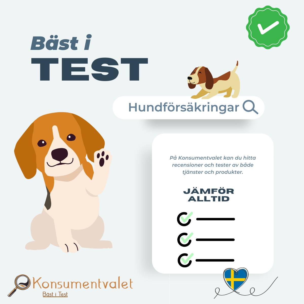 Hundförsäkring bäst i test 2026