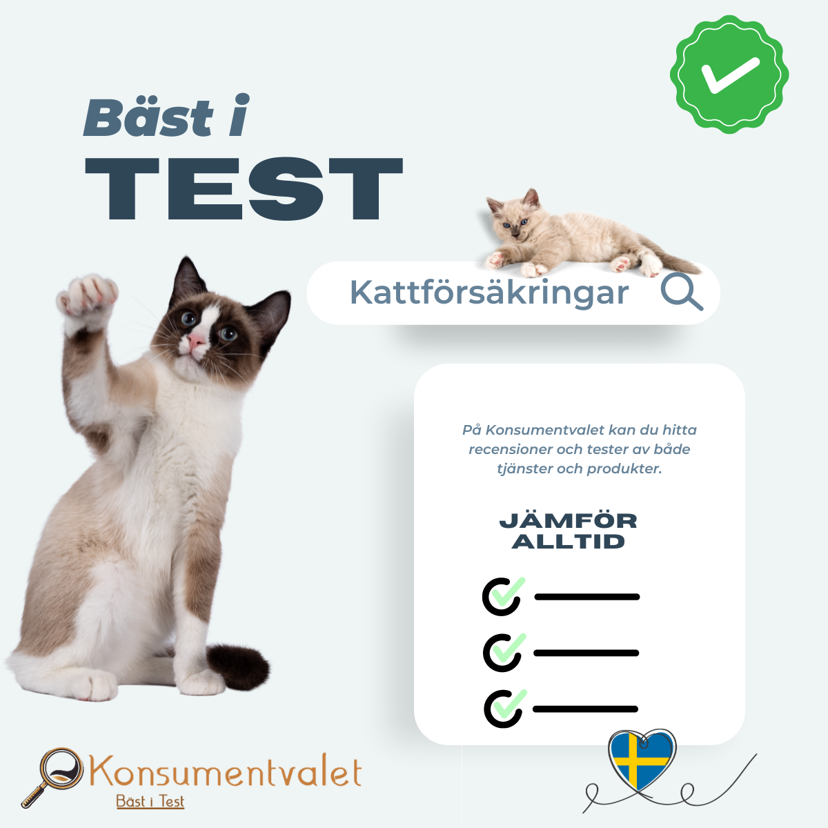 Kattförsäkring bäst i test 2026