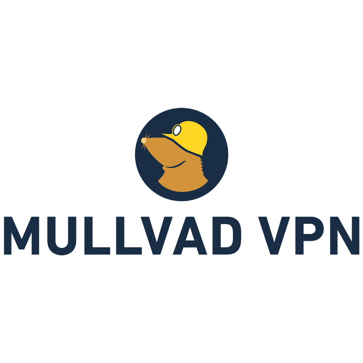 Mullvad VPN