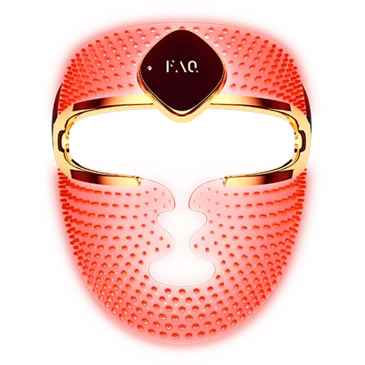 FAQ™ 202