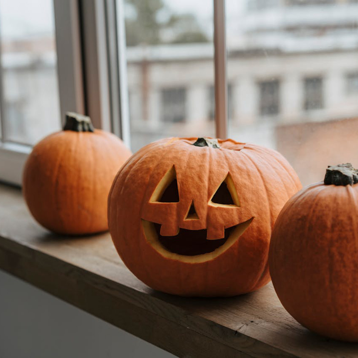 Halloween Pumpa: Din Ultimata Guide Till Hösten Favorit