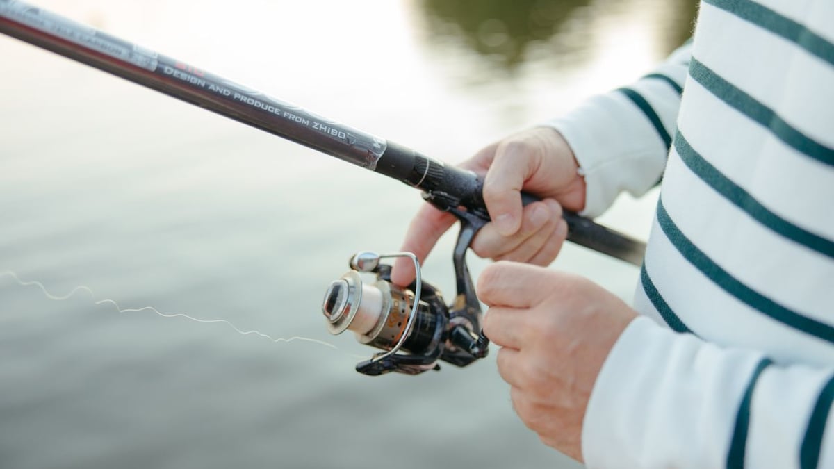 Fiskespö bäst i test 2026